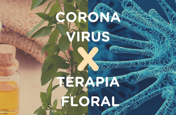 Coronavírus x Terapia Floral